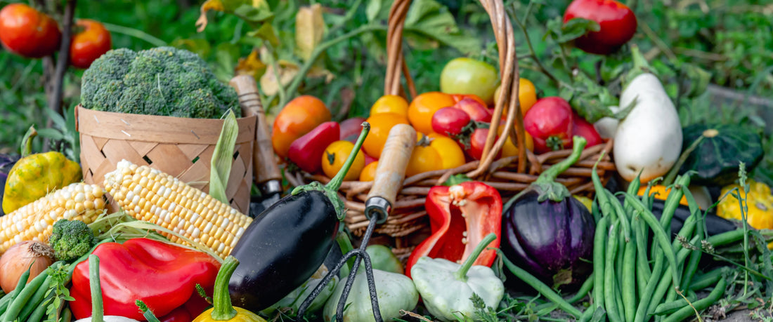 Benefits of Switching to Organic Fruits and Vegetables