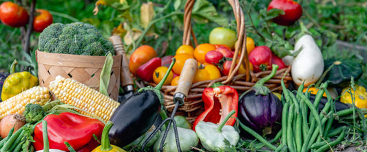 Benefits of Switching to Organic Fruits and Vegetables