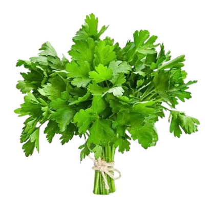 Organic Coriander Fresh