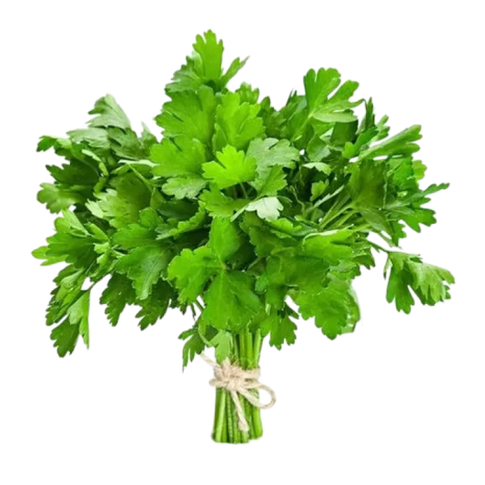 Organic Coriander Fresh