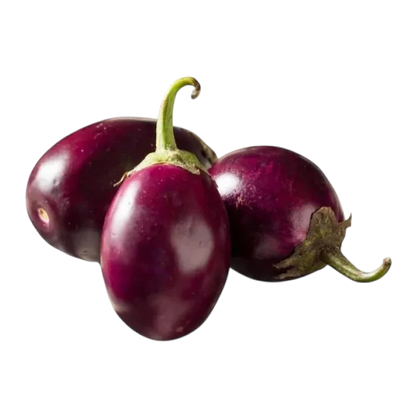 Organic Brinjal (Round)