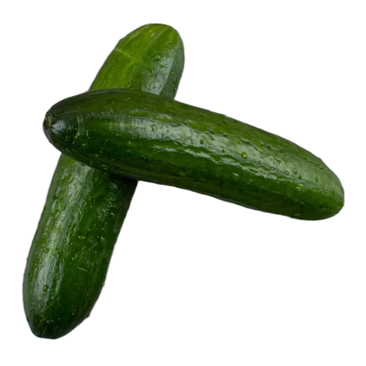 Organic English Cucumber