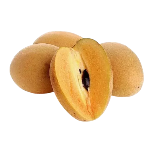 Organic Sapodilla (Chiku)