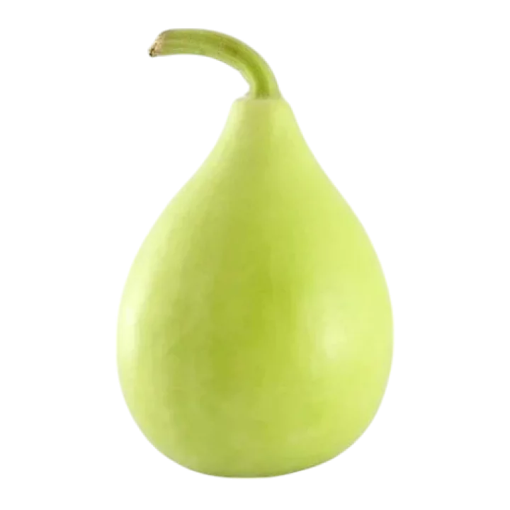 Organic Bottle Gourd (Ghiya)