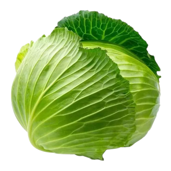 Organic Cabbage (Green)