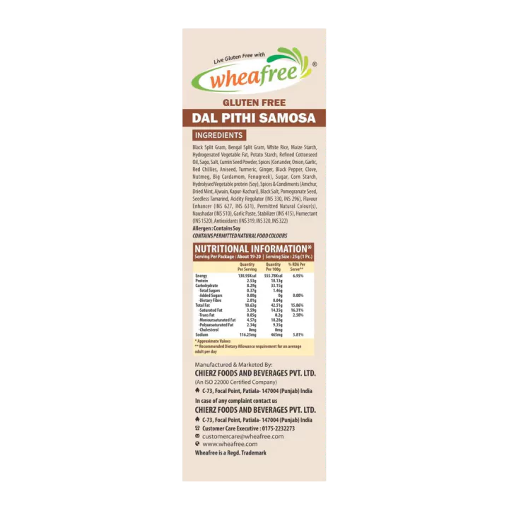 Gluten Free Dal Pithi Samosa 1