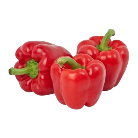 Bell Pepper (Red Capsicum)
