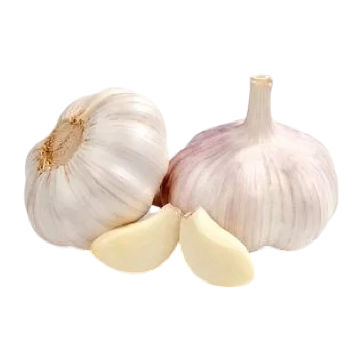Organic Garlic