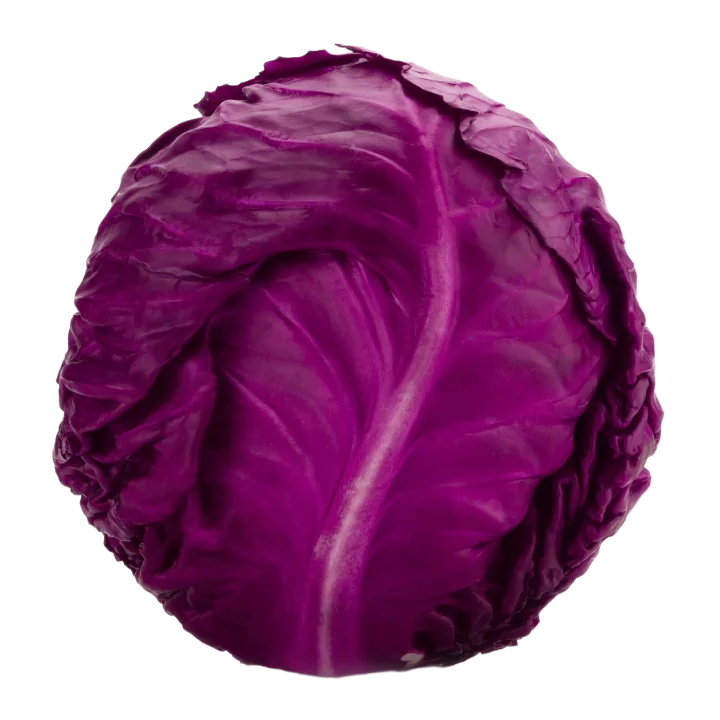 Organic Cabbage (Purple)