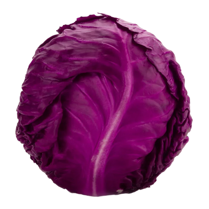 Organic Cabbage (Purple)