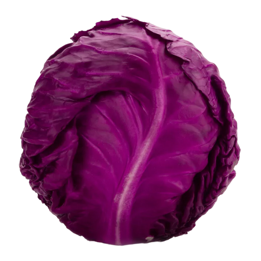 Organic Cabbage (Purple)
