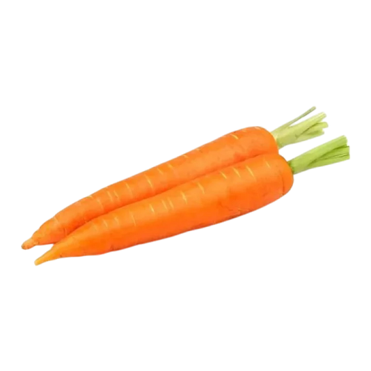 Organic Carrot (Orange)
