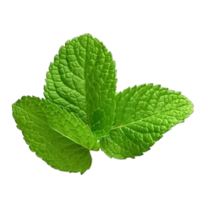Organic Mint