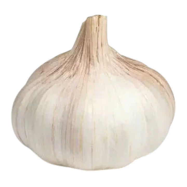 Organic Garlic