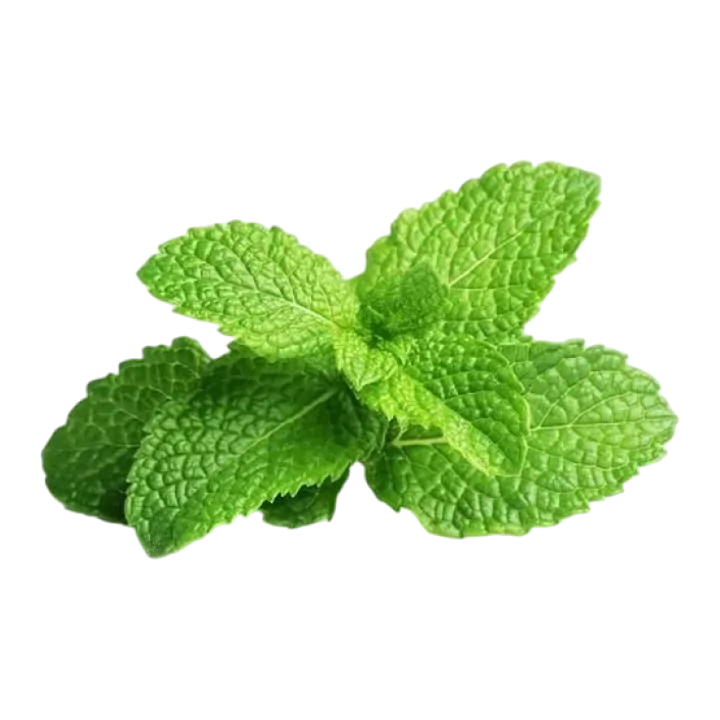 Organic Mint