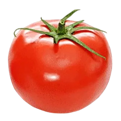 Organic Tomato