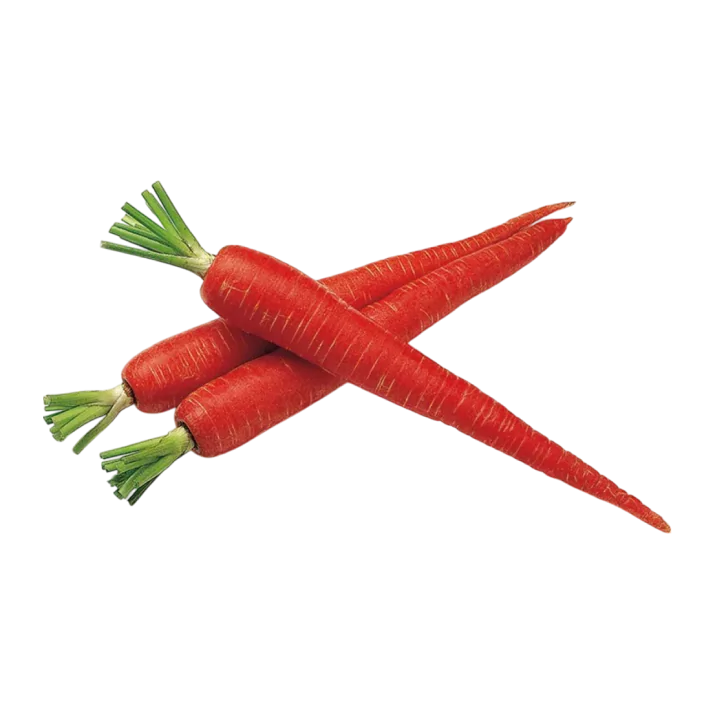 Organic Carrot (Red)