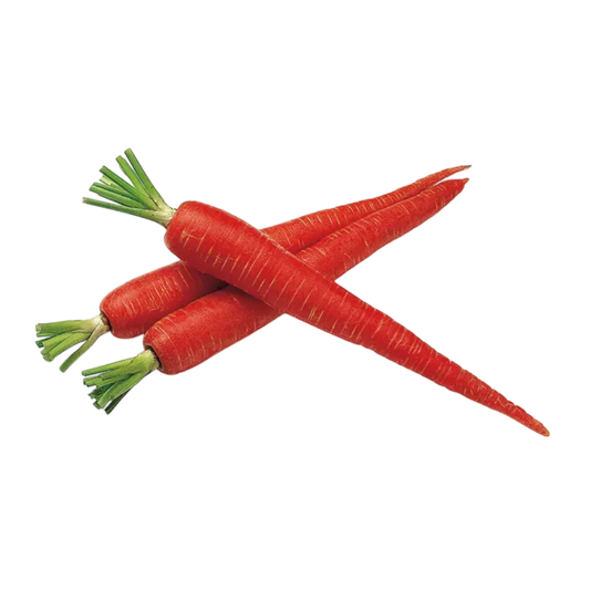 Organic Carrot (Red)
