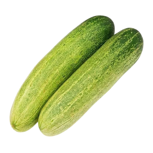 Organic Desi Cucumber