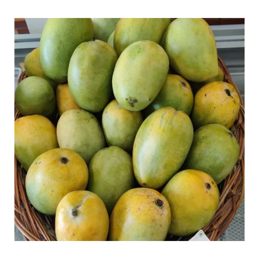 Organic Mango (Kesar) | Naturally Ripened & Carbide Free