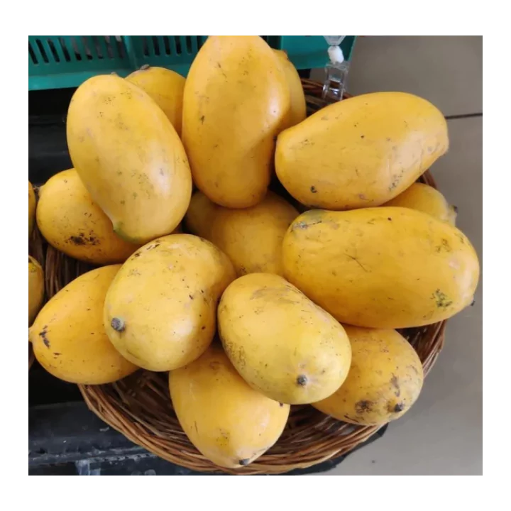 Organic Mango (Mallika) | Naturally Ripened & Carbide Free